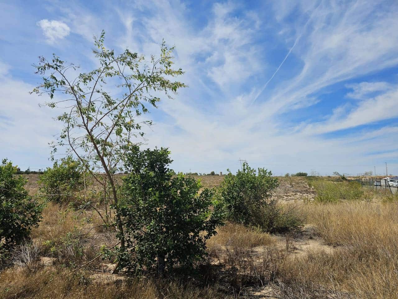 Terreno Non Edificato in vendita in Algorfa - 205.000 € (Rif: 7767649)