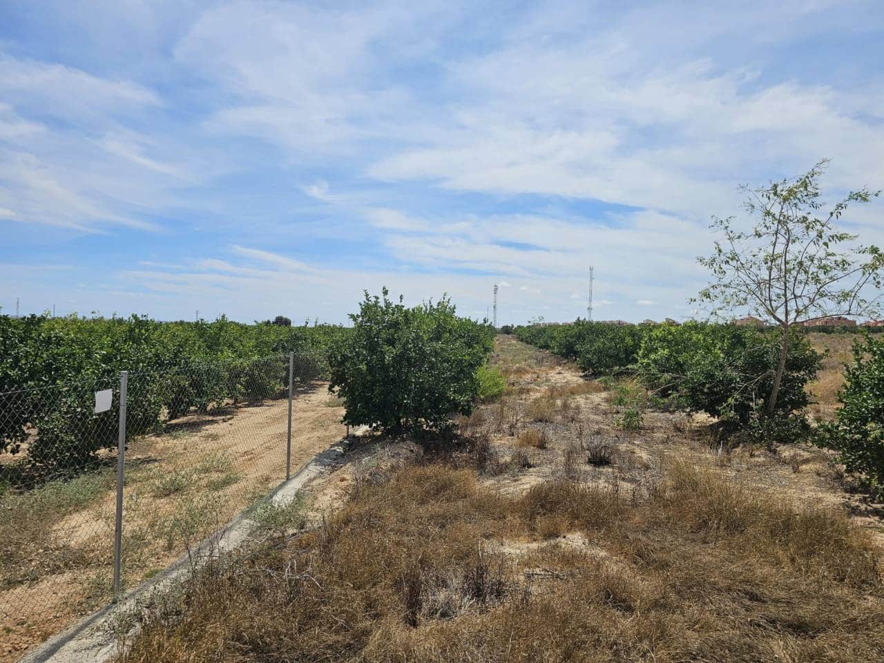 Terreno Non Edificato in vendita in Algorfa - 205.000 € (Rif: 7767649)