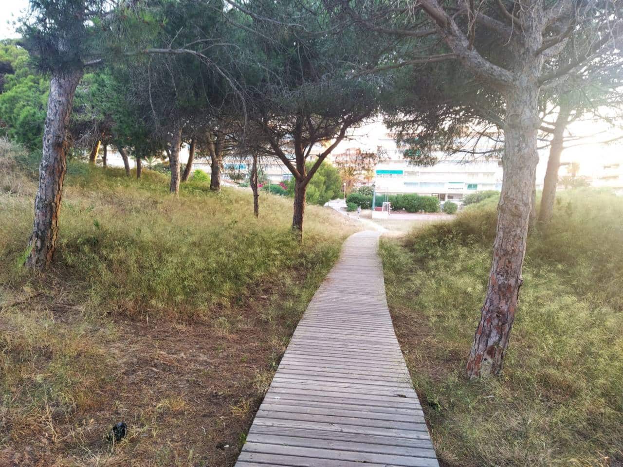 2 bedroom Flat for sale in Guardamar del Segura - € 121,000 (Ref: 8748458)