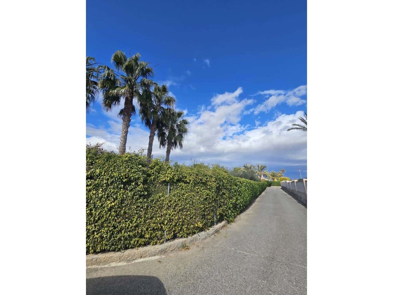 5 soveværelse Villa til salg i Perleta med swimmingpool - € 550.000 (Ref: 8803174)