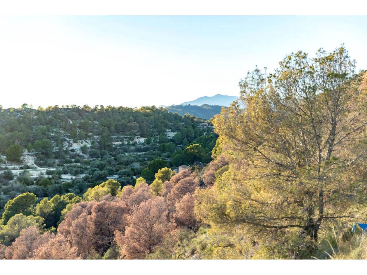 2 Zimmer Bungalow zu verkaufen in Finestrat mit Pool Garage - 355.000 € (Ref: 8941050)