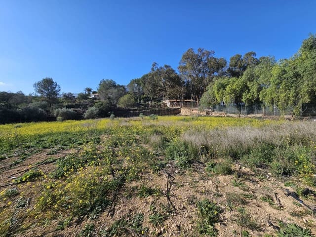 2 sovrum Villa till salu i El Mojon, Pilar de la Horadada med pool - 145 000 € (Ref: 8996491)