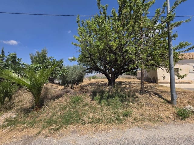 2 bedroom Finca/Country House for sale in Doña Ines, Lorca - € 90,000 (Ref: 9895646)