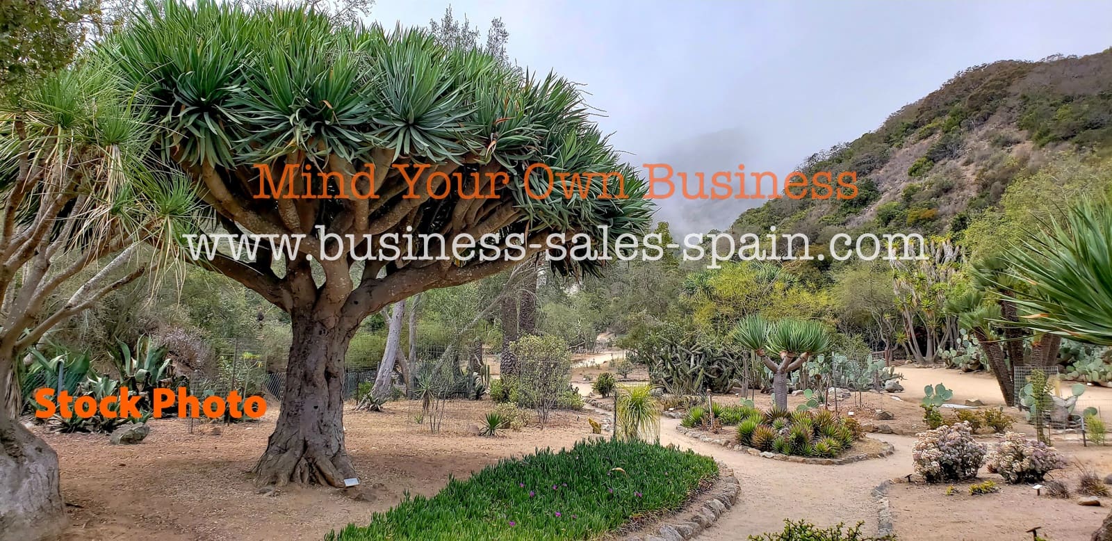 Bedrijf te koop in Madrid stad - € 1.900.000 (Ref: 9254174)