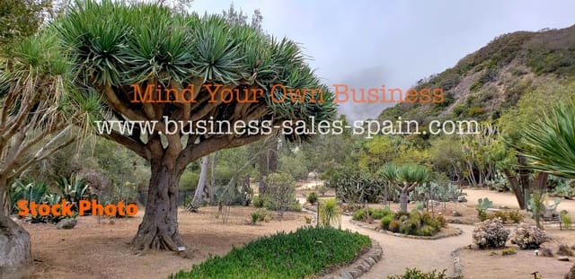 Business for sale in Madrid city - € 1,900,000 (Ref: 9254174)