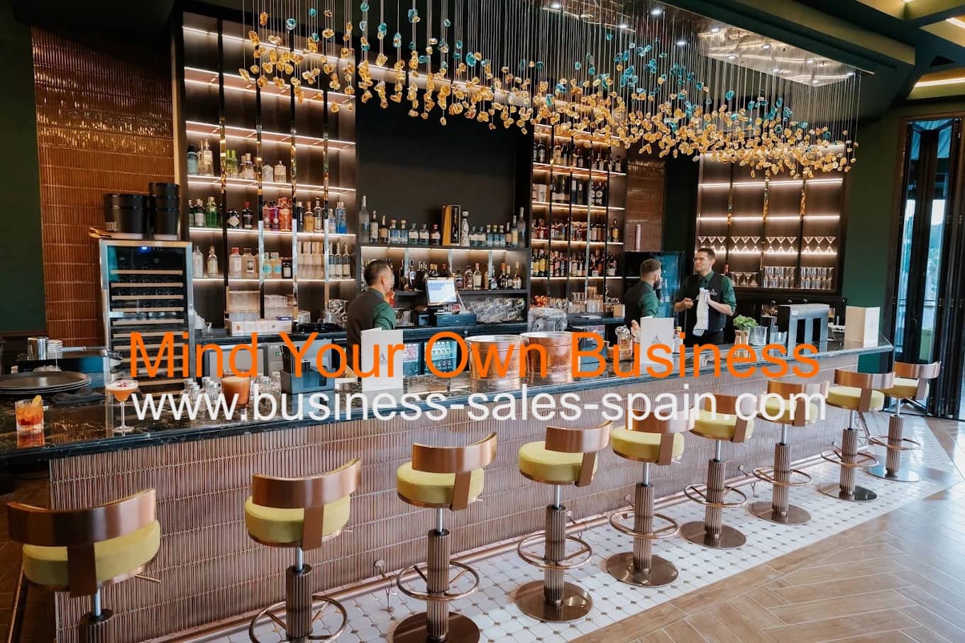 Business for sale in Nueva Andalucia - € 700,000 (Ref: 9478912)