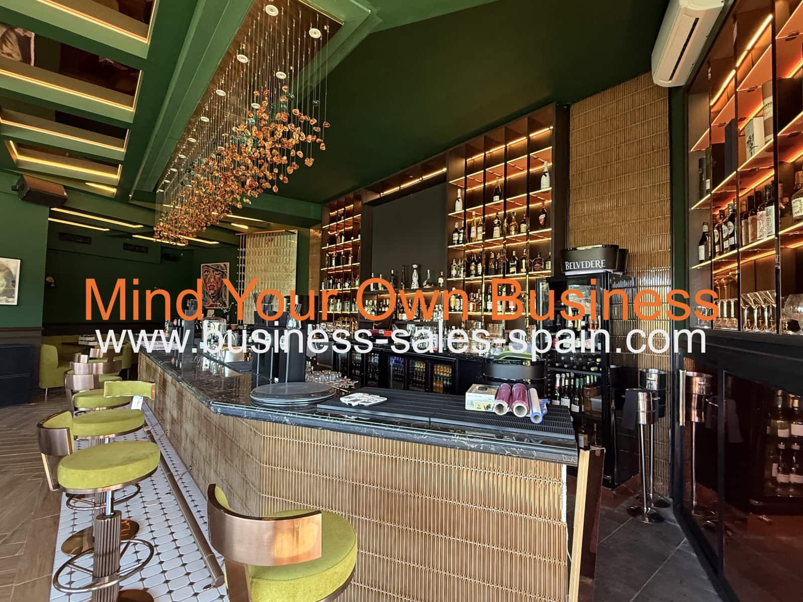 Business for sale in Nueva Andalucia - € 700,000 (Ref: 9478912)