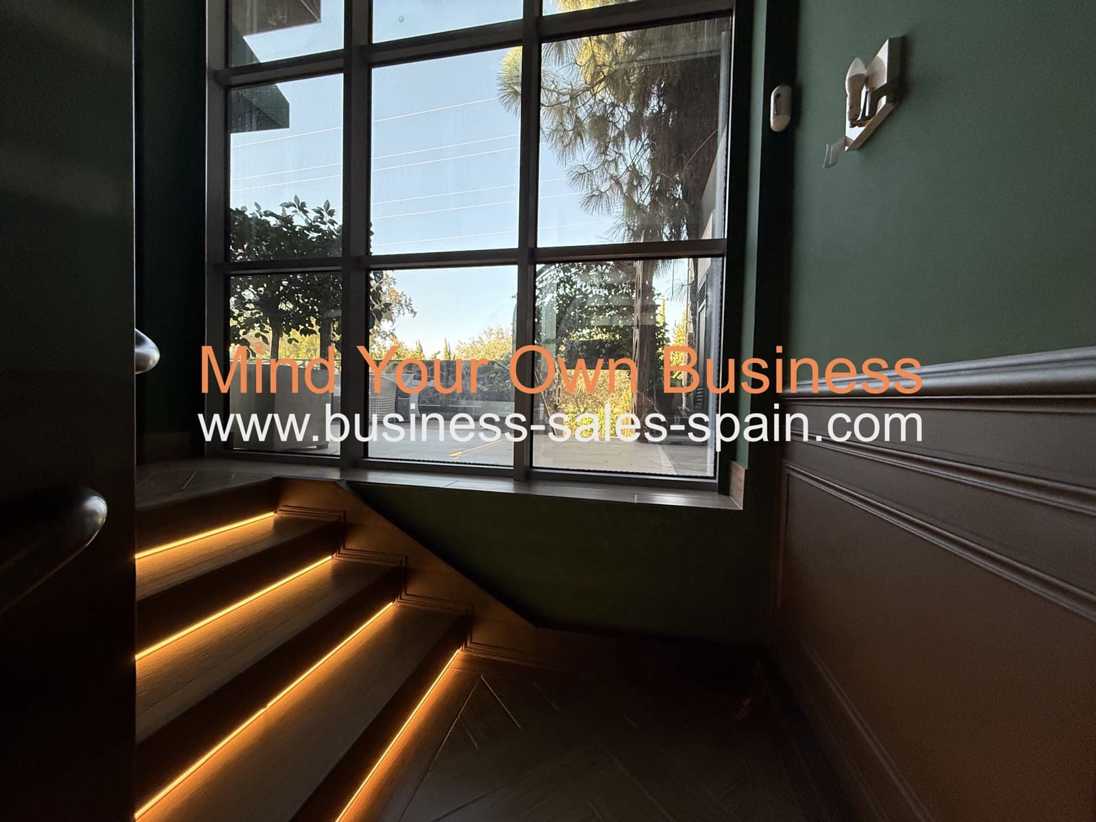 Business for sale in Nueva Andalucia - € 700,000 (Ref: 9478912)