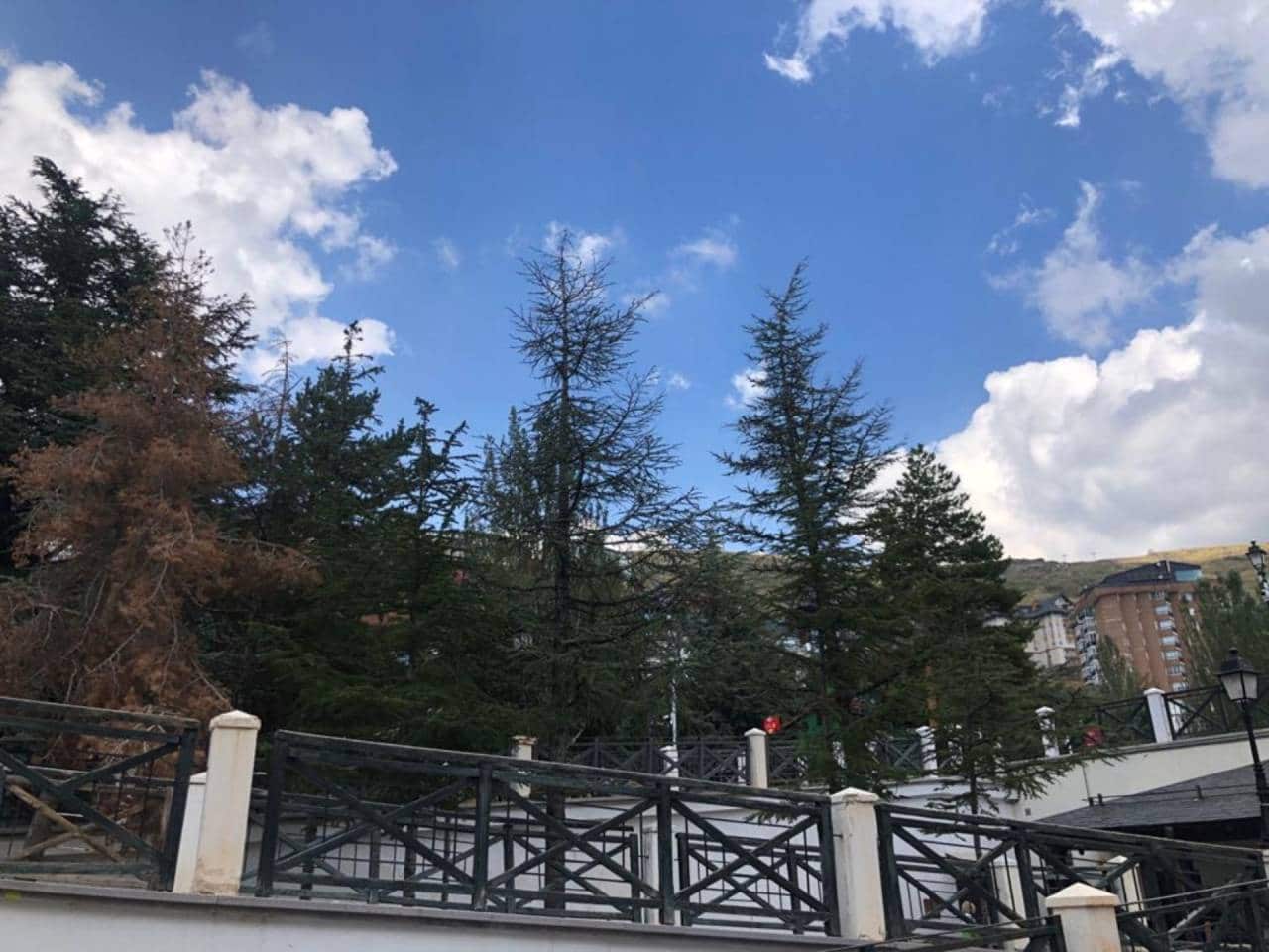 3 sovrum Hus till salu i Sierra Nevada - 119 999 € (Ref: 5440932)