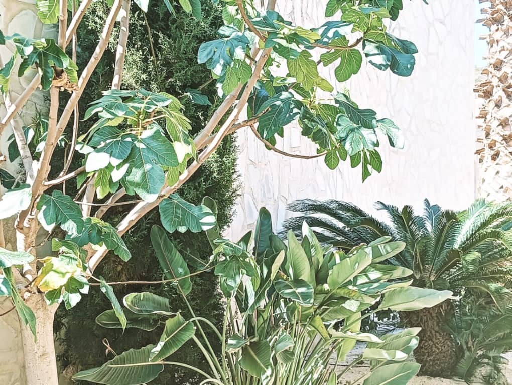 5 quarto Moradia para venda em Denia com piscina garagem - 849 000 € (Ref: 8332675)