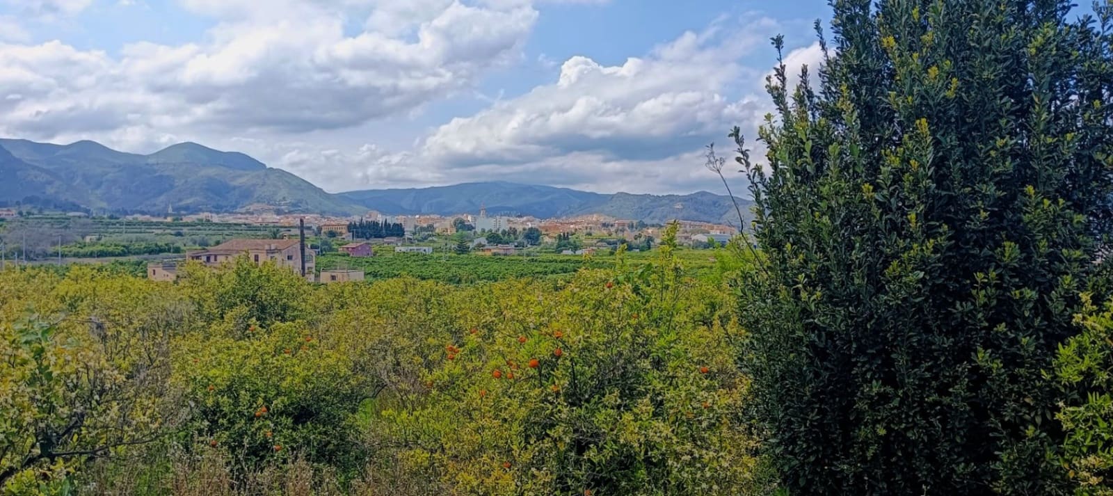 1 soveværelse Finca/Landehus til salg i Pego - € 150.000 (Ref: 8937963)