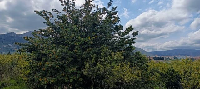 1 camera da letto Finca/Casa di Campagna in vendita in Pego - 150.000 € (Rif: 8937963)