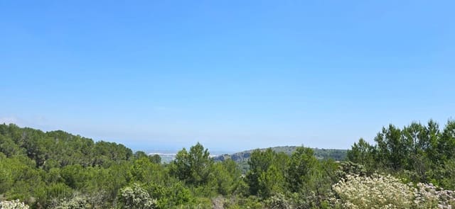 Area Edificabile in vendita in Benidoleig - 400.000 € (Rif: 9046371)