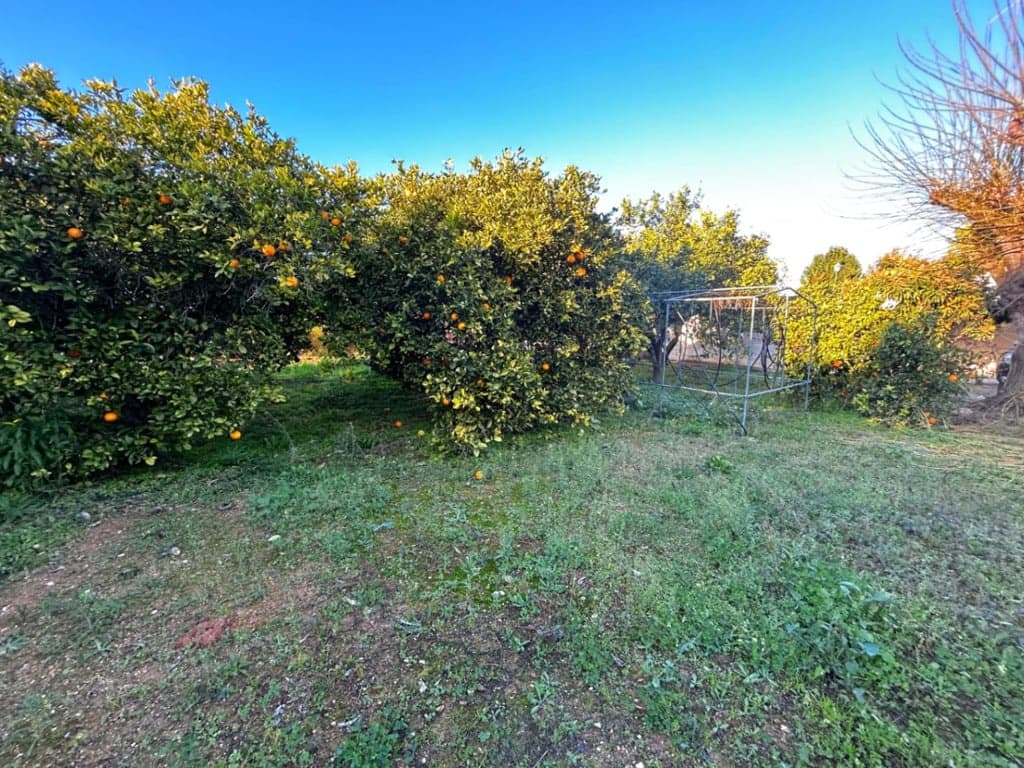 5 bedroom Finca/Country House for sale in Pedreguer with pool - € 345,000 (Ref: 9496492)