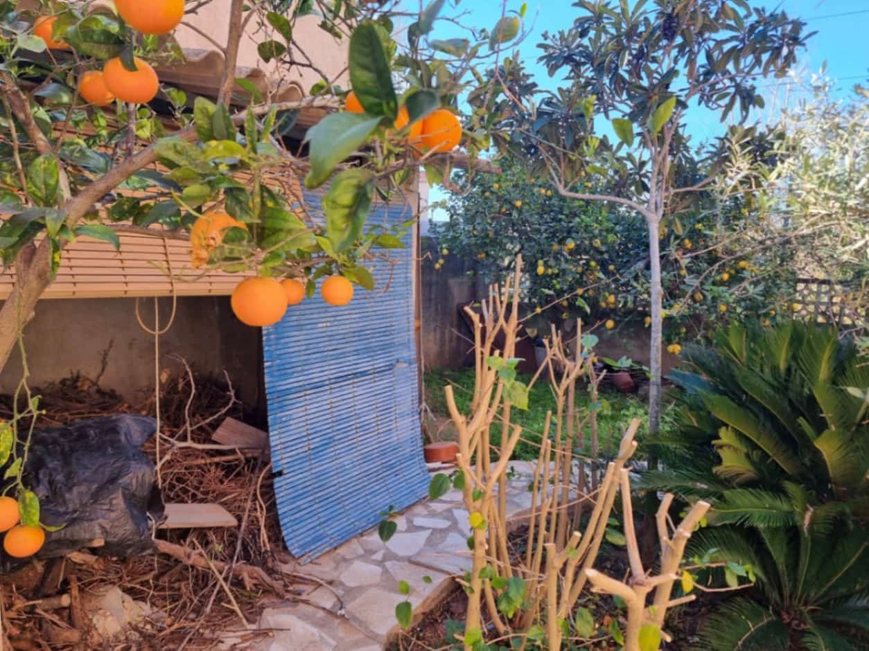 4 bedroom Villa for sale in Oliva - € 385,000 (Ref: 9609993)