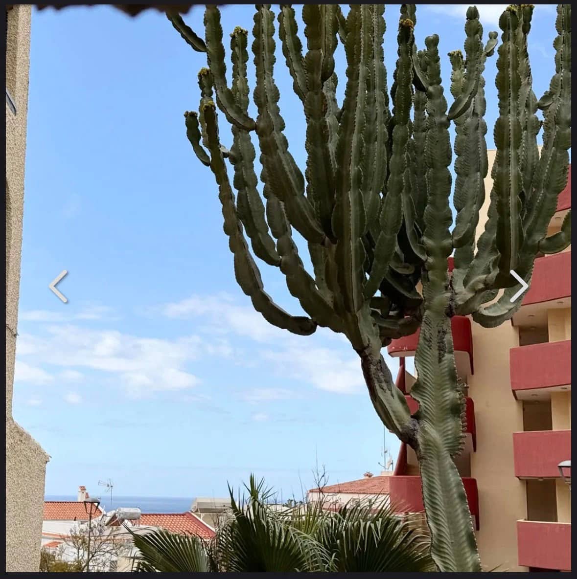1 sypialnia Apartament na sprzedaż w Costa Adeje z basenem - 235 000 € (Ref: 10050379)