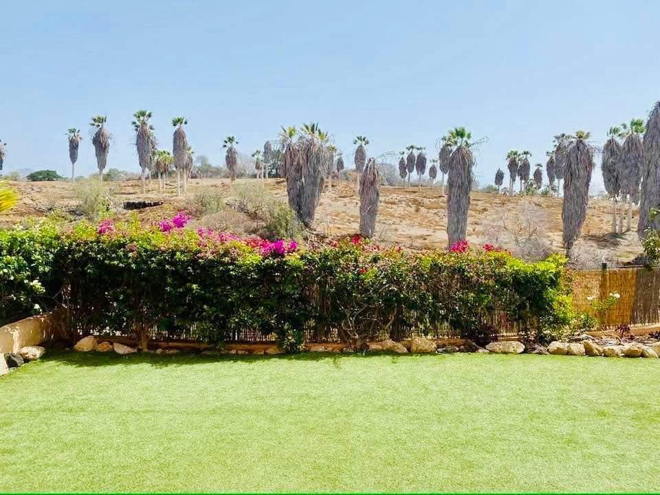 Appartement de 3 chambres à louer à San Miguel de Abona avec piscine - 1 700 € (Ref: 7684754)