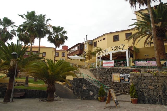 Empresa para venda em Playa de las Americas, Arona - 150 000 € (Ref: 8938243)