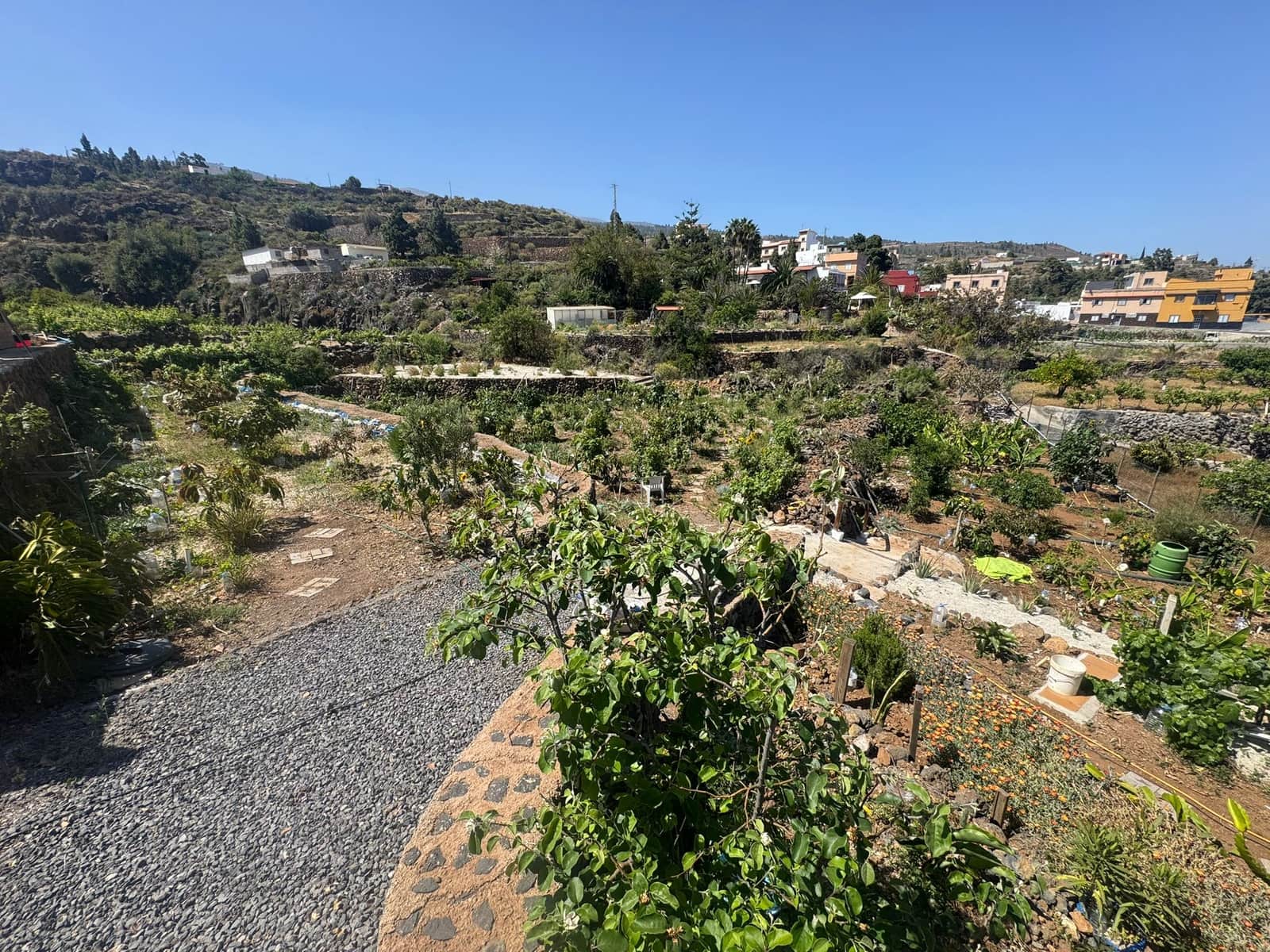 4 sovrum Finca/Hus på landet till salu i Granadilla de Abona med pool garage - 550 000 € (Ref: 9030812)