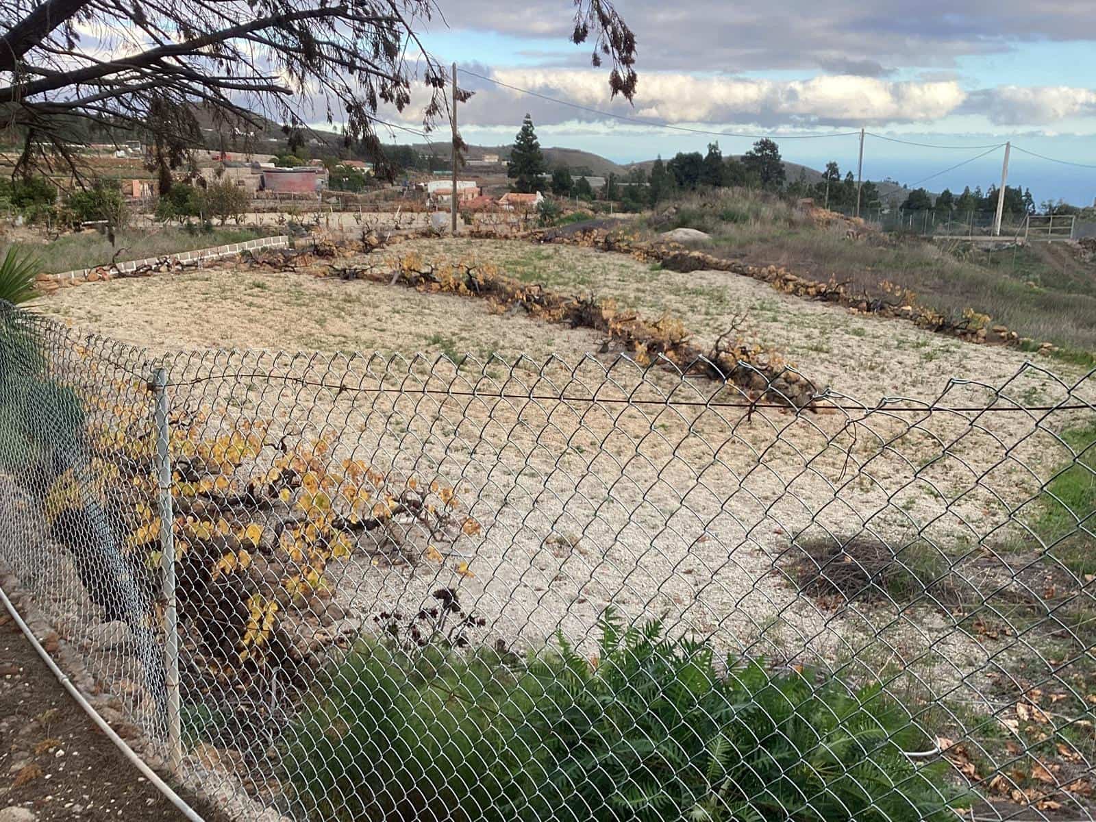 4 bedroom Finca/Country House for sale in Granadilla de Abona with pool - € 750,000 (Ref: 9496535)