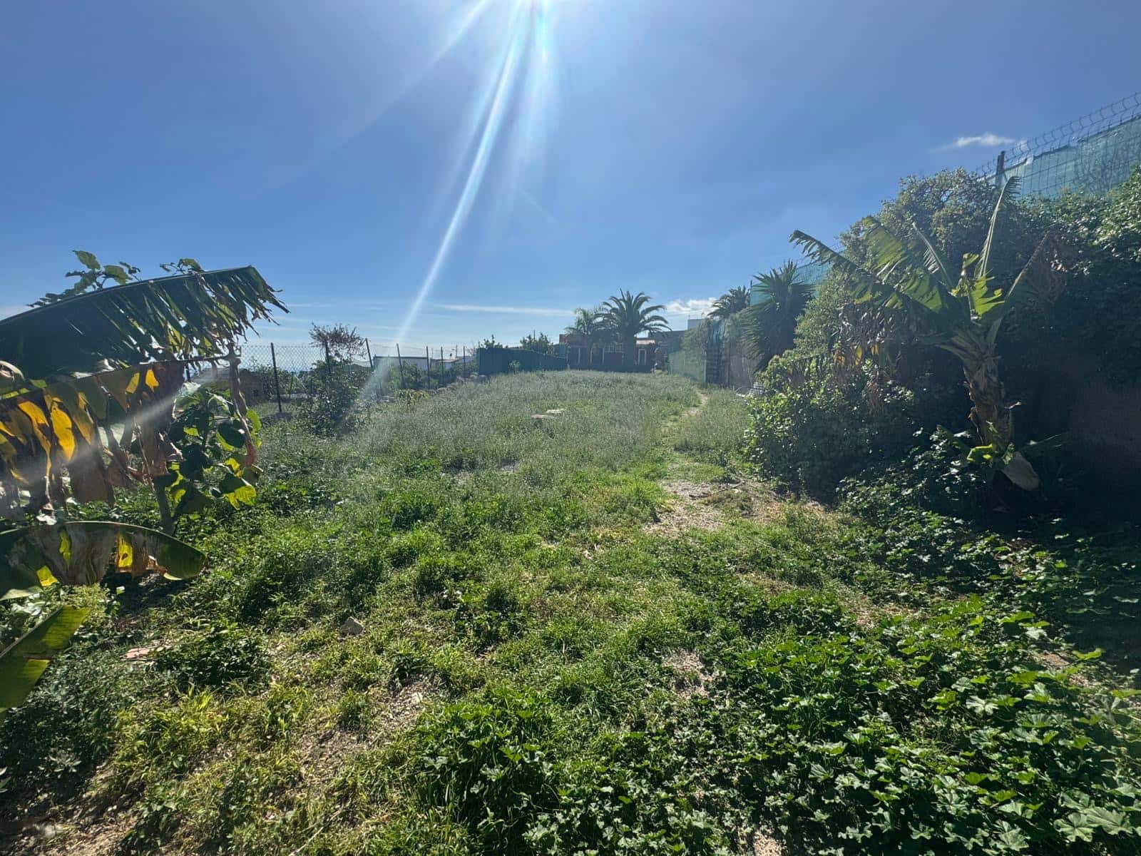 3 sypialnia Finka/Dom wiejski na sprzedaż w Guimar z basenem garażem - 399 000 € (Ref: 9517947)