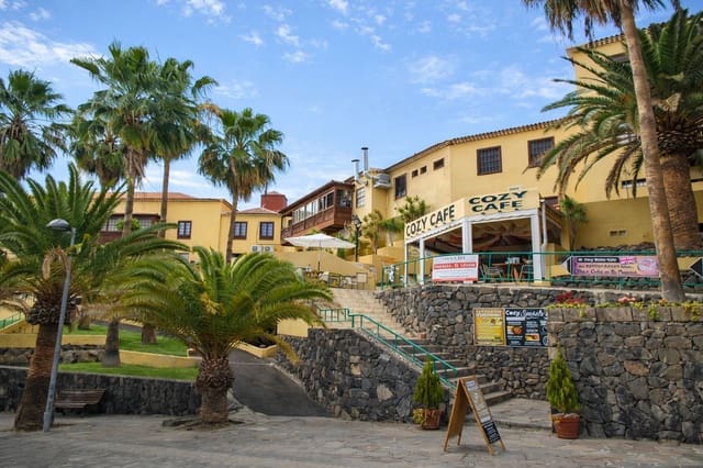 Bedrijf te koop in Playa de las Américas, Adeje - € 199.000 (Ref: 9737243)