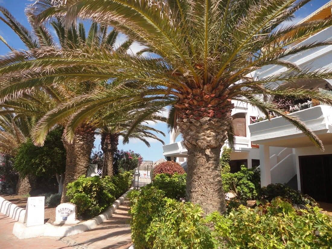 1 sovrum Lägenhet att hyra i Amarilla Golf med pool garage - 1 100 € (Ref: 9872294)