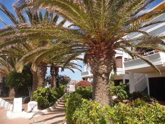 1 sovrum Lägenhet att hyra i Amarilla Golf, San Miguel de Abona med pool garage - 1 100 € (Ref: 9872294)