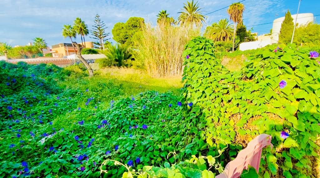 Undeveloped Land for sale in San Jose / Sant Josep de Sa Talaia - € 540,000 (Ref: 7278639)