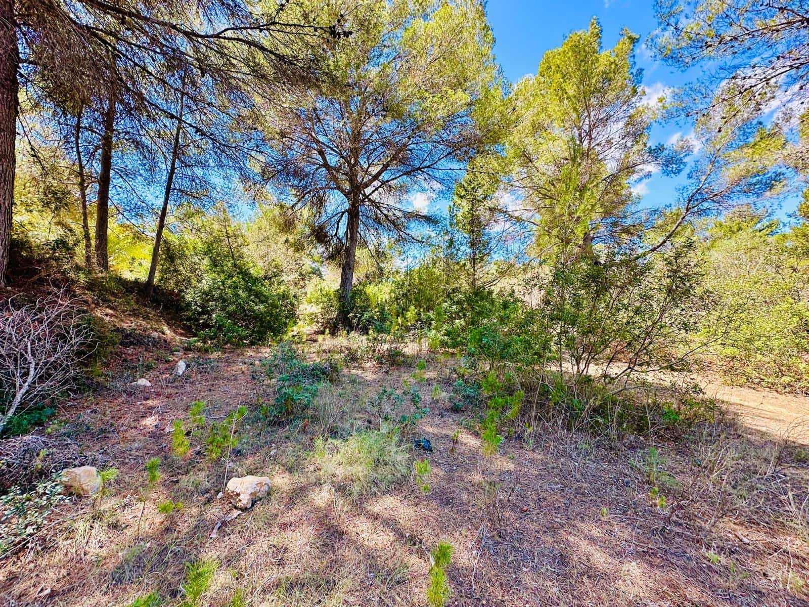 Undeveloped Land for sale in Santa Eulalia / Santa Eularia - € 1,100,000 (Ref: 8929610)