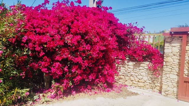 4 bedroom Villa for sale in Sant Antoni de Portmany - € 1,200,000 (Ref: 9079814)