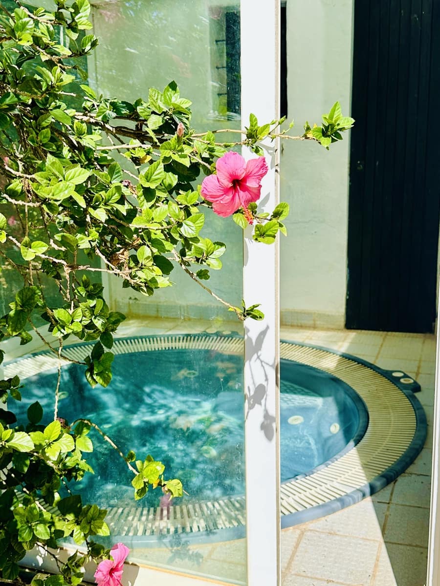 5 bedroom Finca/Country House for sale in San Jose / Sant Josep de Sa Talaia with pool garage - € 3,300,000 (Ref: 9265626)