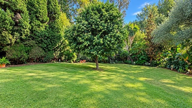 4 sypialnia Willa do wynajęcia w Nagüeles Alto, Marbella z basenem garażem - 5 500 € (Ref: 10109381)