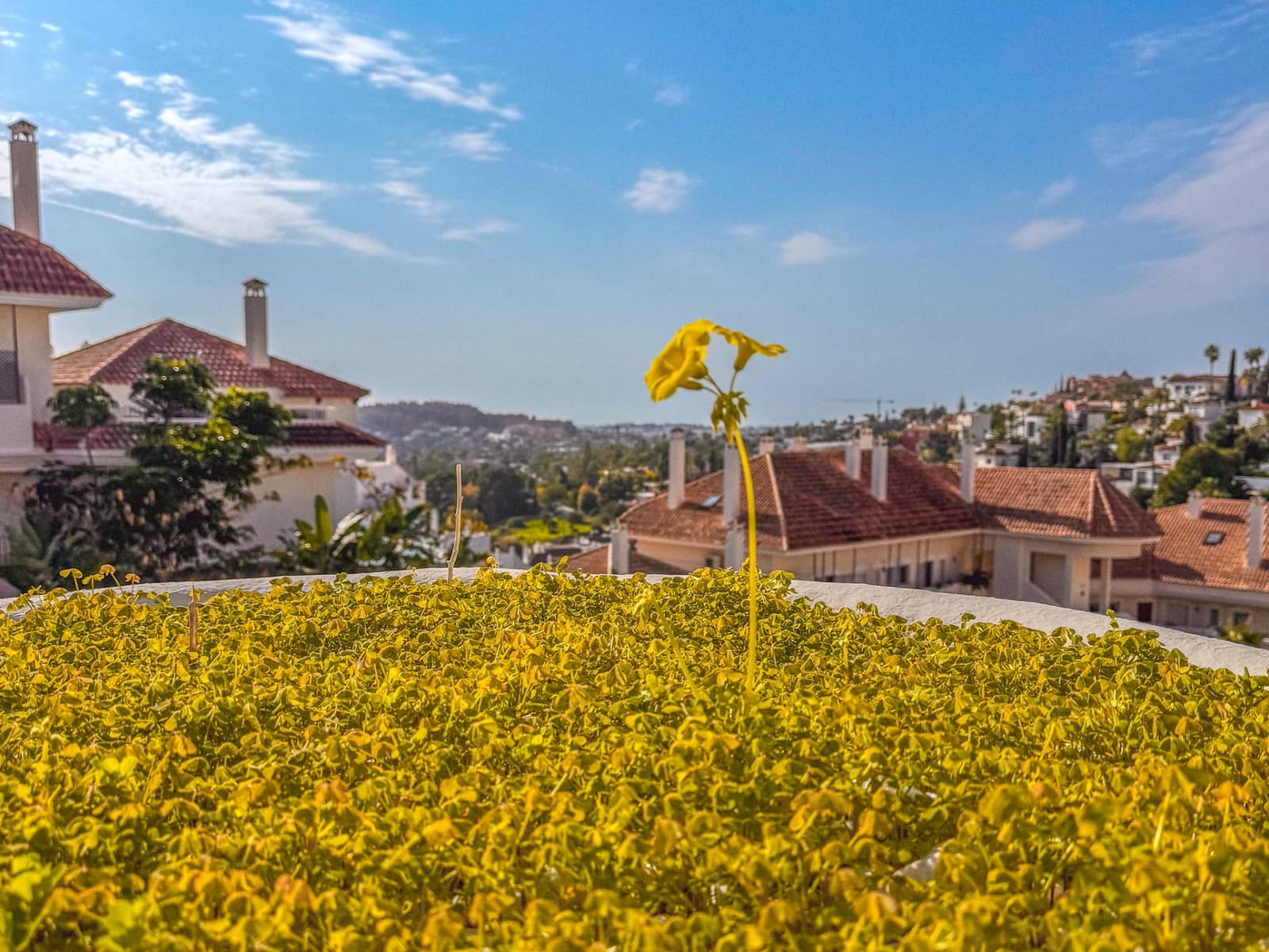 2 sypialnia Apartament na sprzedaż w Marbella z basenem garażem - 520 000 € (Ref: 8941468)