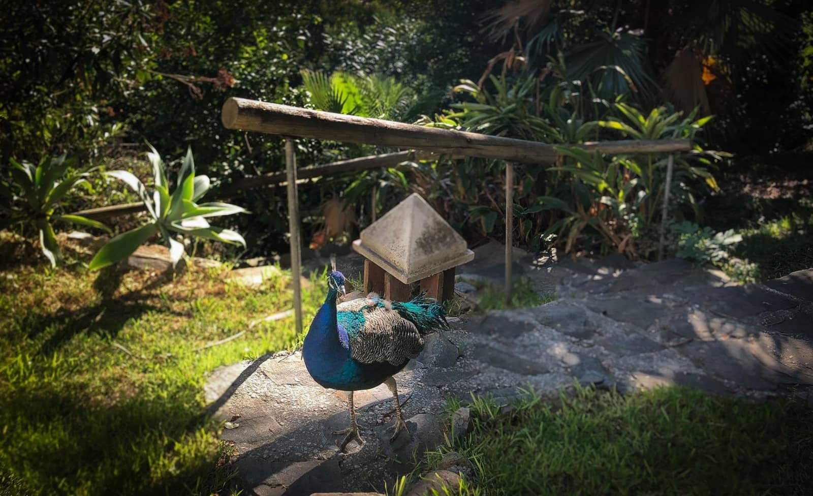 7 quarto Moradia para venda em Benahavis com piscina garagem - 1 750 000 € (Ref: 9777924)