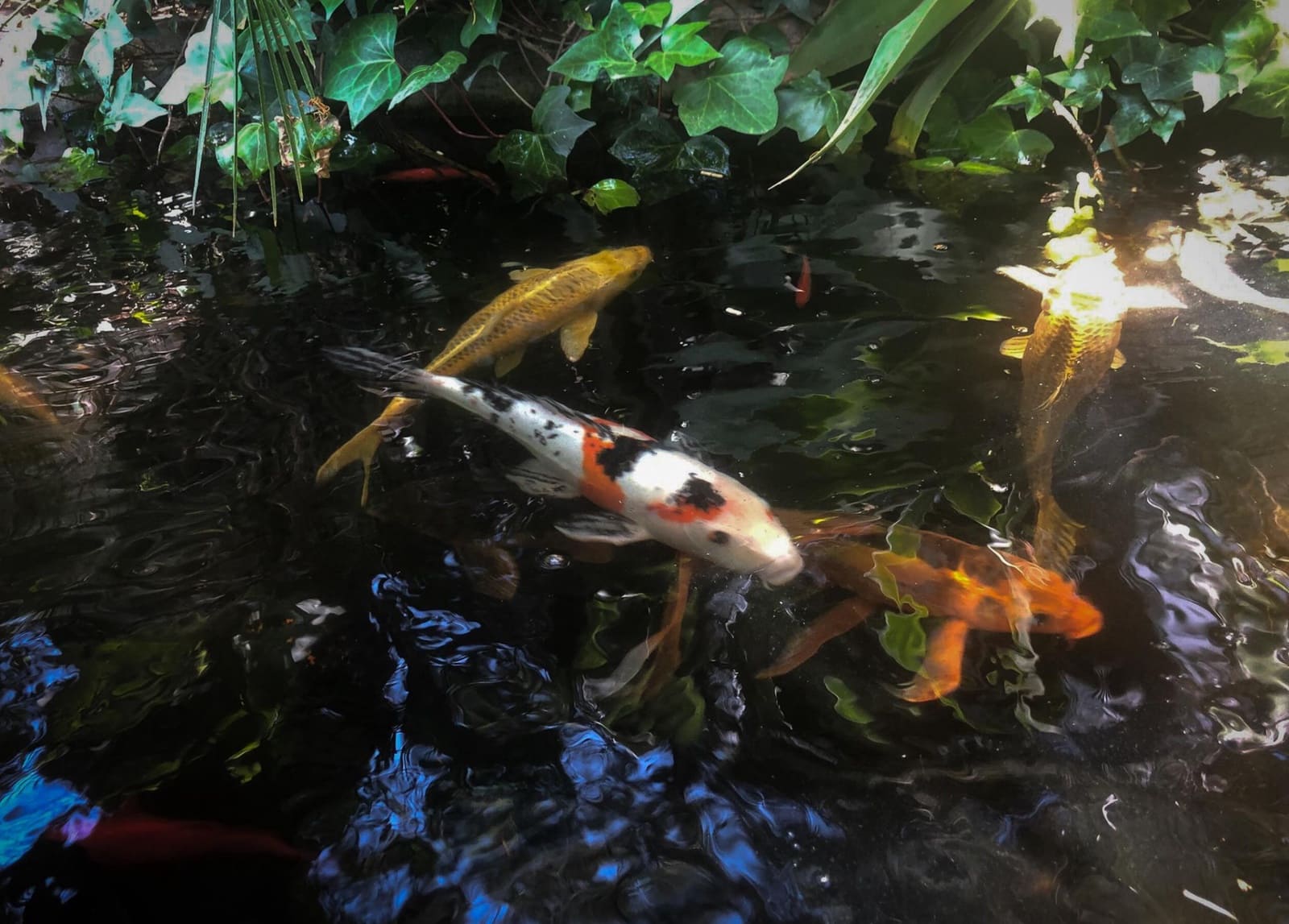 7 quarto Moradia para venda em Benahavis com piscina garagem - 1 750 000 € (Ref: 9777924)