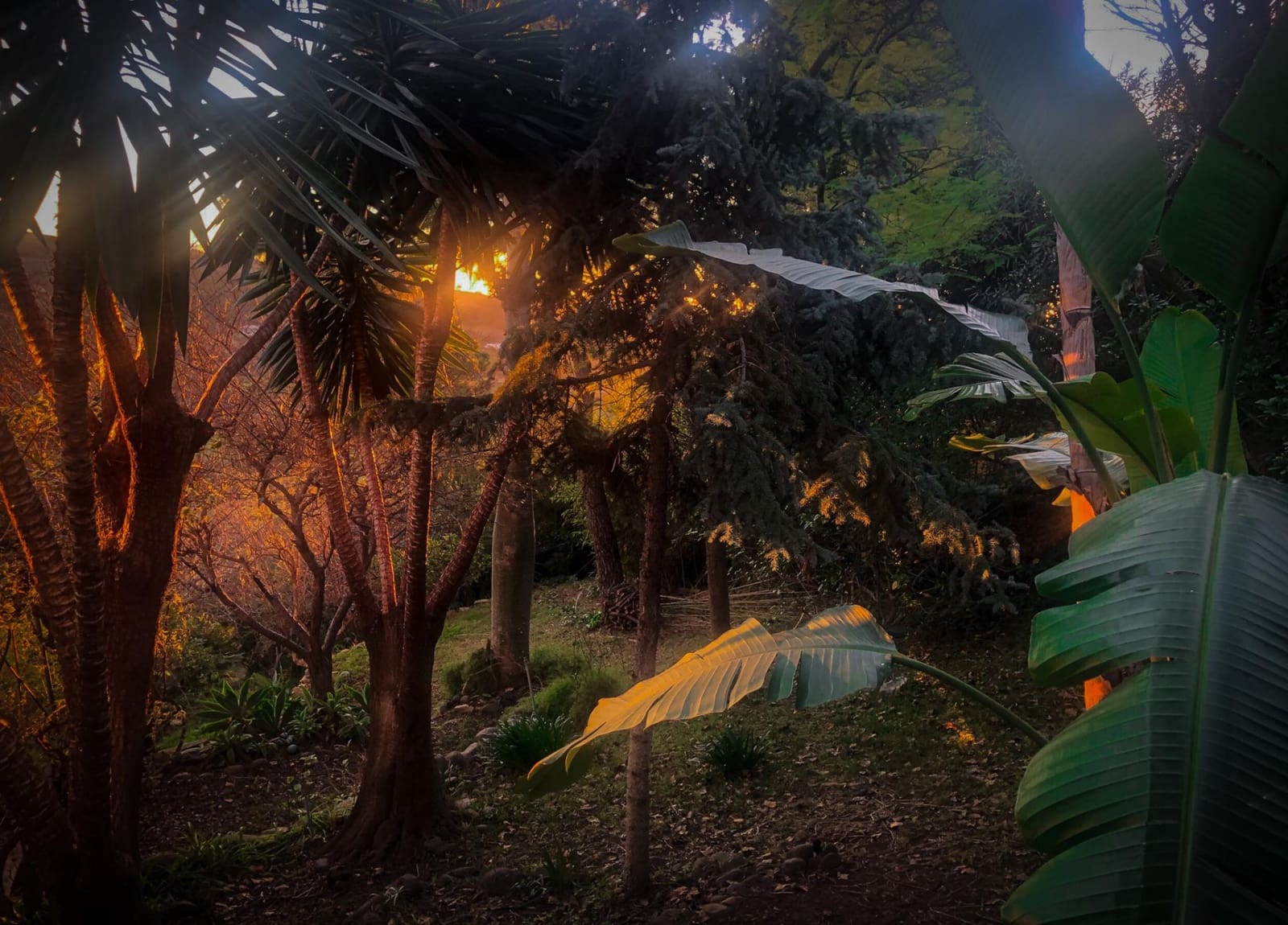 7 quarto Moradia para venda em Benahavis com piscina garagem - 1 750 000 € (Ref: 9777924)