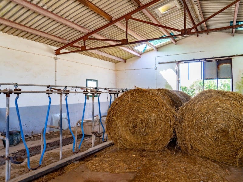 10 Zimmer Finca/Landgut zu verkaufen in Alayor / Alaior - 3.536.000 € (Ref: 9402050)