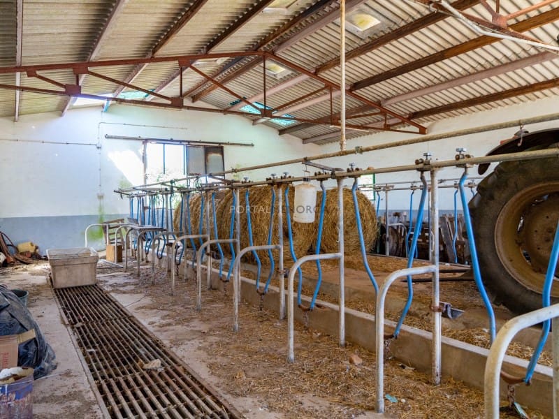 10 Zimmer Finca/Landgut zu verkaufen in Alayor / Alaior - 3.536.000 € (Ref: 9402050)