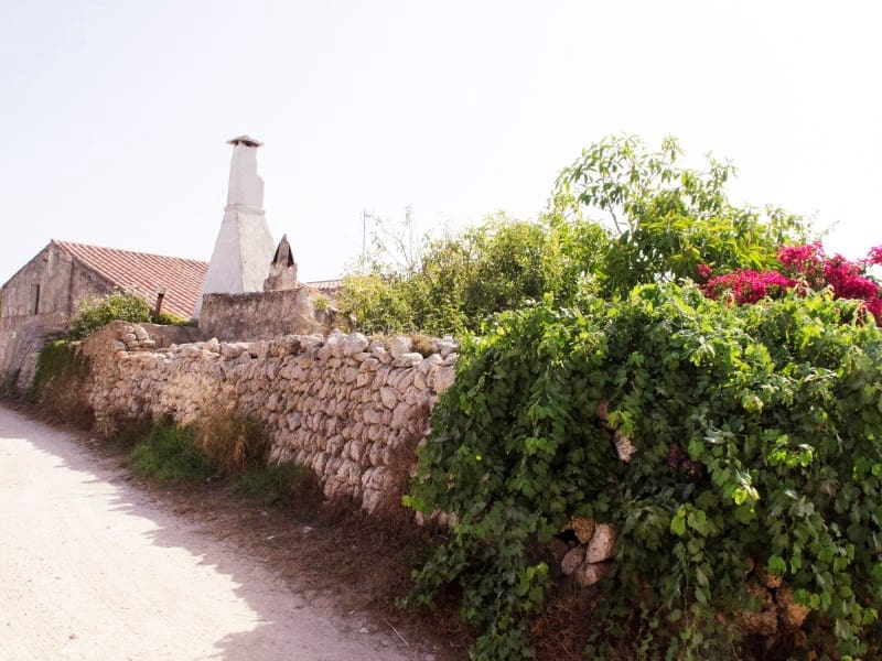 5 bedroom Finca/Country House for sale in Ferreries - € 1,700,000 (Ref: 9402051)