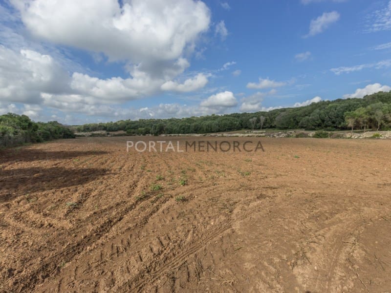 5 bedroom Finca/Country House for sale in Ferreries - € 1,700,000 (Ref: 9402051)