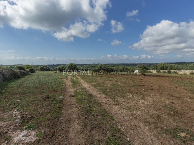 5 bedroom Finca/Country House for sale in Ferreries - € 1,700,000 (Ref: 9402051)