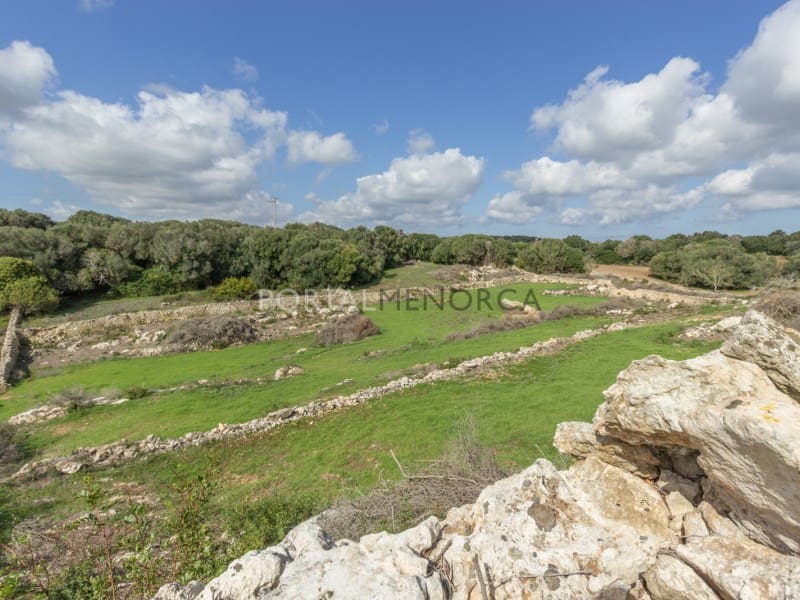 5 bedroom Finca/Country House for sale in Ferreries - € 1,700,000 (Ref: 9402051)