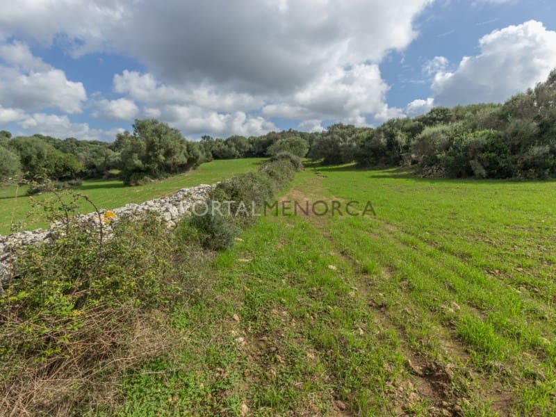 5 bedroom Finca/Country House for sale in Ferreries - € 1,700,000 (Ref: 9402051)