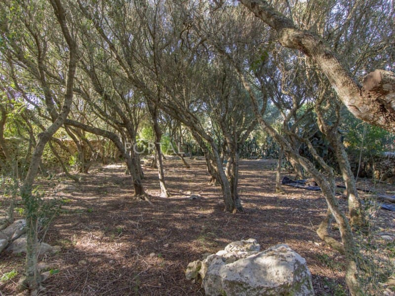 6 slaapkamer Finca/Landhuis te koop in Biniali met garage - € 1.900.000 (Ref: 9402088)