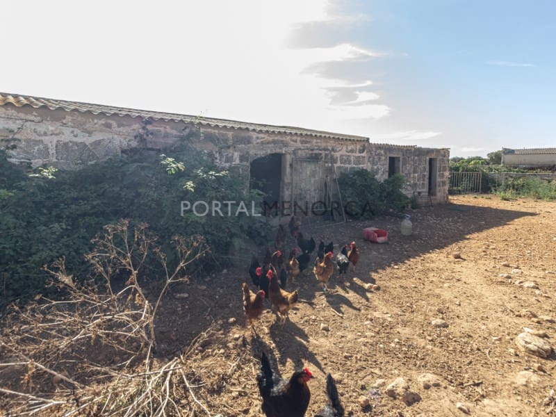 10 camera da letto Finca/Casa di Campagna in vendita in Cala'n Bosch - 1.100.000 € (Rif: 9402104)