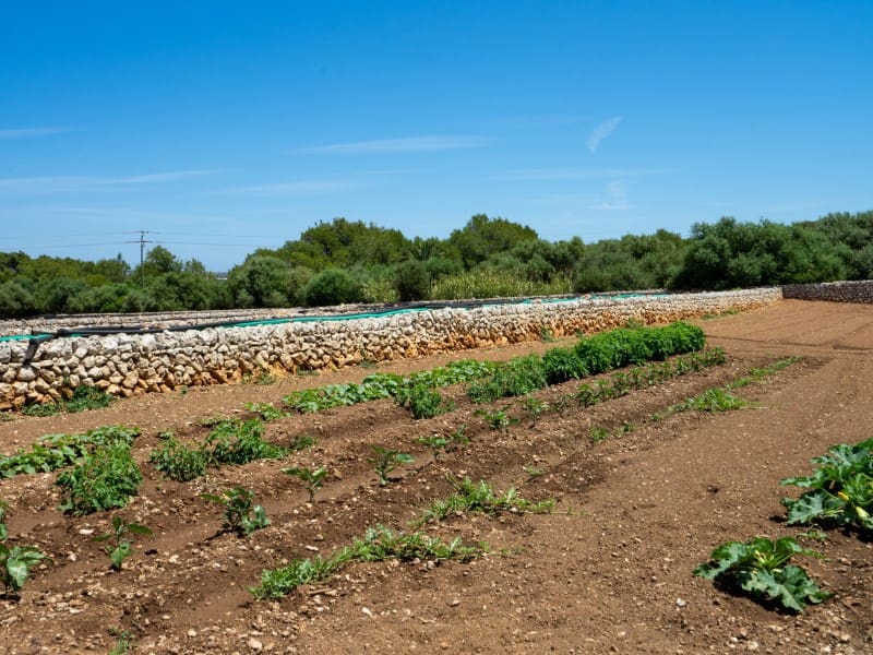 Finca/Casa Rural de 6 habitaciones en San Luis / Sant Lluís en venta - 900.000 € (Ref: 9402176)