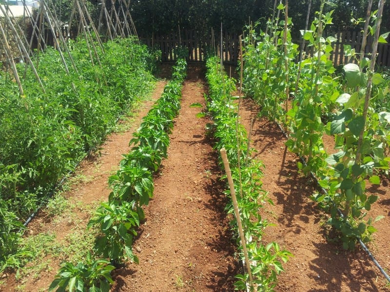 Finca/Casa Rural de 6 habitaciones en Mahón / Maó en venta - 2.500.000 € (Ref: 9631575)