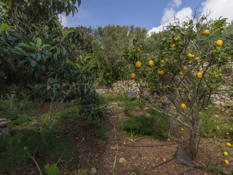 5 slaapkamer Villa te koop in Trebaluger met garage - € 720.000 (Ref: 9631606)