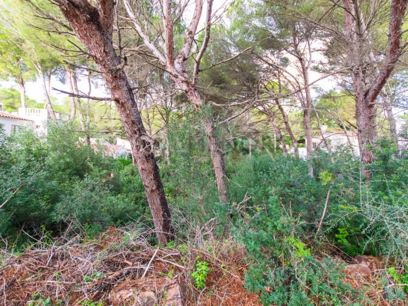 Byggetomt til salgs i Son Parc - € 175 000 (Ref: 9631615)